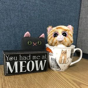 Cat Lady Starter Kit